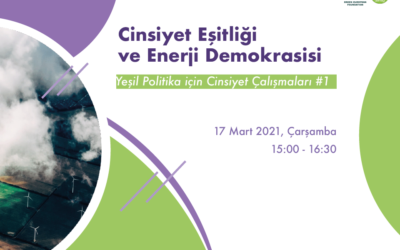 Cinsiyet Eşitliği ve Enerji Demokrasisi Etkinliği